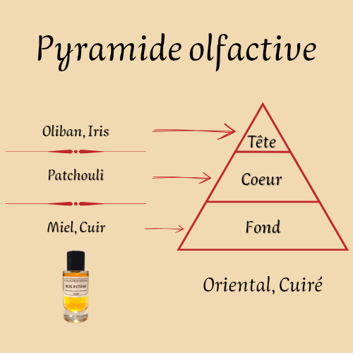 Parfum Mixte "Bois Intense" Collection Intense 50 ml inspiré "Bois d'Argent"