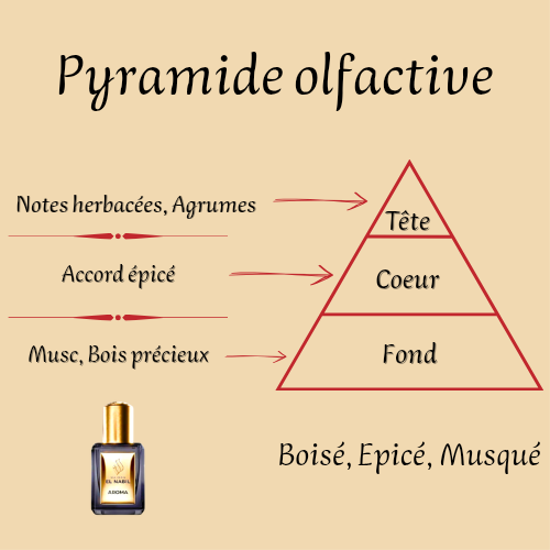 Aroma 5 ml - Huile concentrée de parfum - Mixte