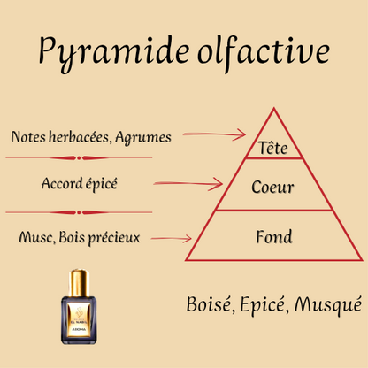 Aroma 5 ml - Huile concentrée de parfum - Mixte