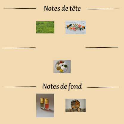 Aroma 5 ml - Huile concentrée de parfum - Mixte