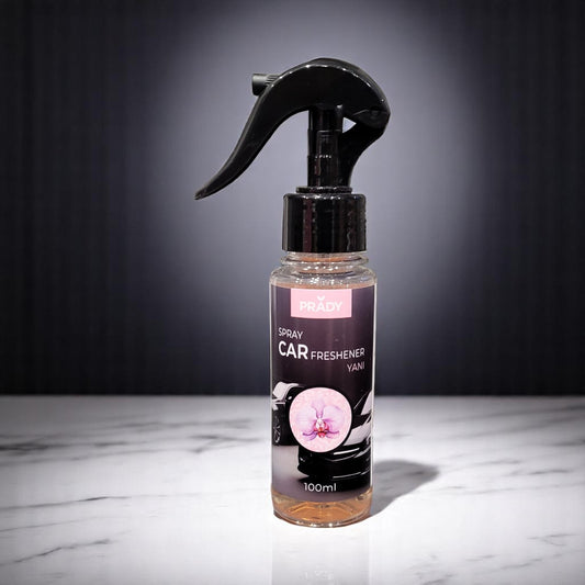 Car spray "Yani" 100 ml inspired by "Yara"