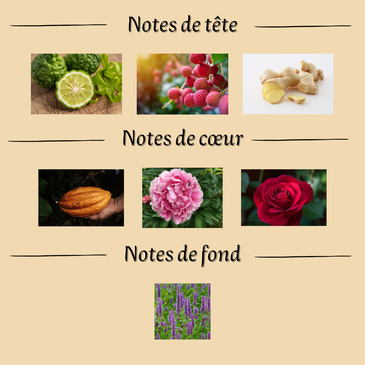 Arôme de Reverie 100 ml inspiré "Attrape-Rêves" - Eau de parfum - Femme