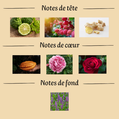 Arôme de Reverie 100 ml inspiré "Attrape-Rêves" - Eau de parfum - Femme