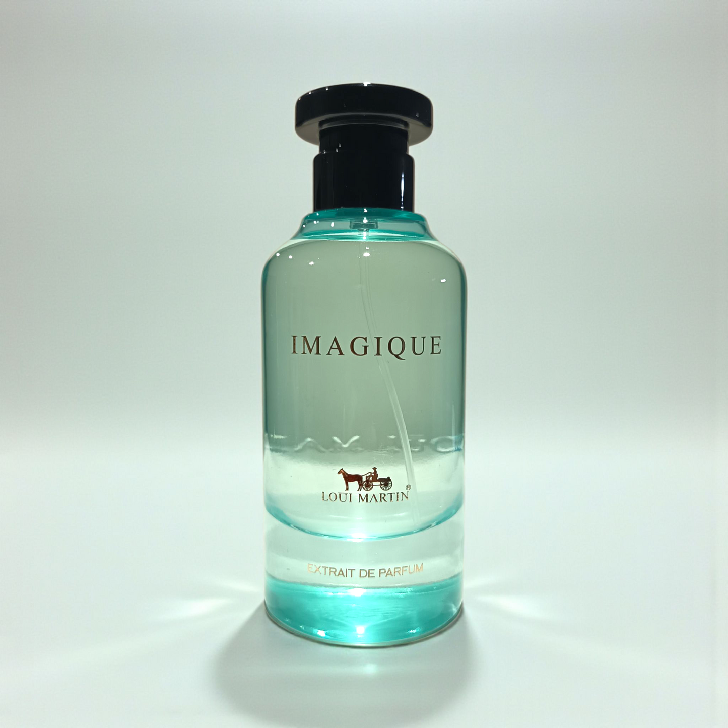 Parfum Homme "Imagique" 100 ml inspiré "Imagination"