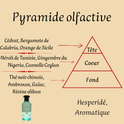 Parfum Homme "Imagique" 100 ml inspiré "Imagination"