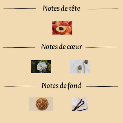 Patchouli Magnificent" 100 ml inspiré "Patchouli Magnetik" - Extrait de parfum - Mixte