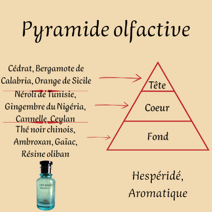 Imagination 100 ml inspiré "Imagination" - Extrait de parfum - Homme