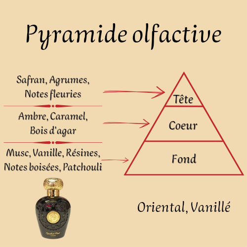 Opulent Oud 100 ml - Eau de parfum - Mixte
