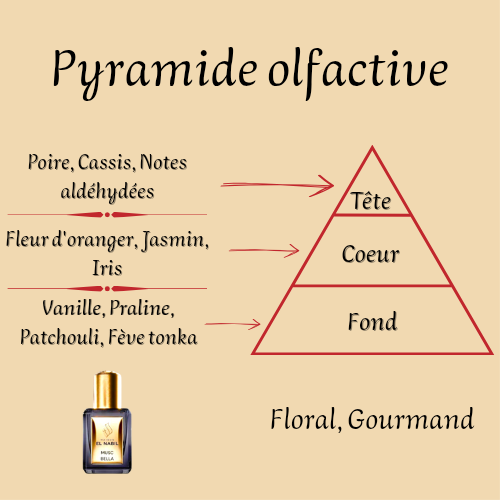 Musc Bella 5 ml - Huile concentrée de parfum - Femme