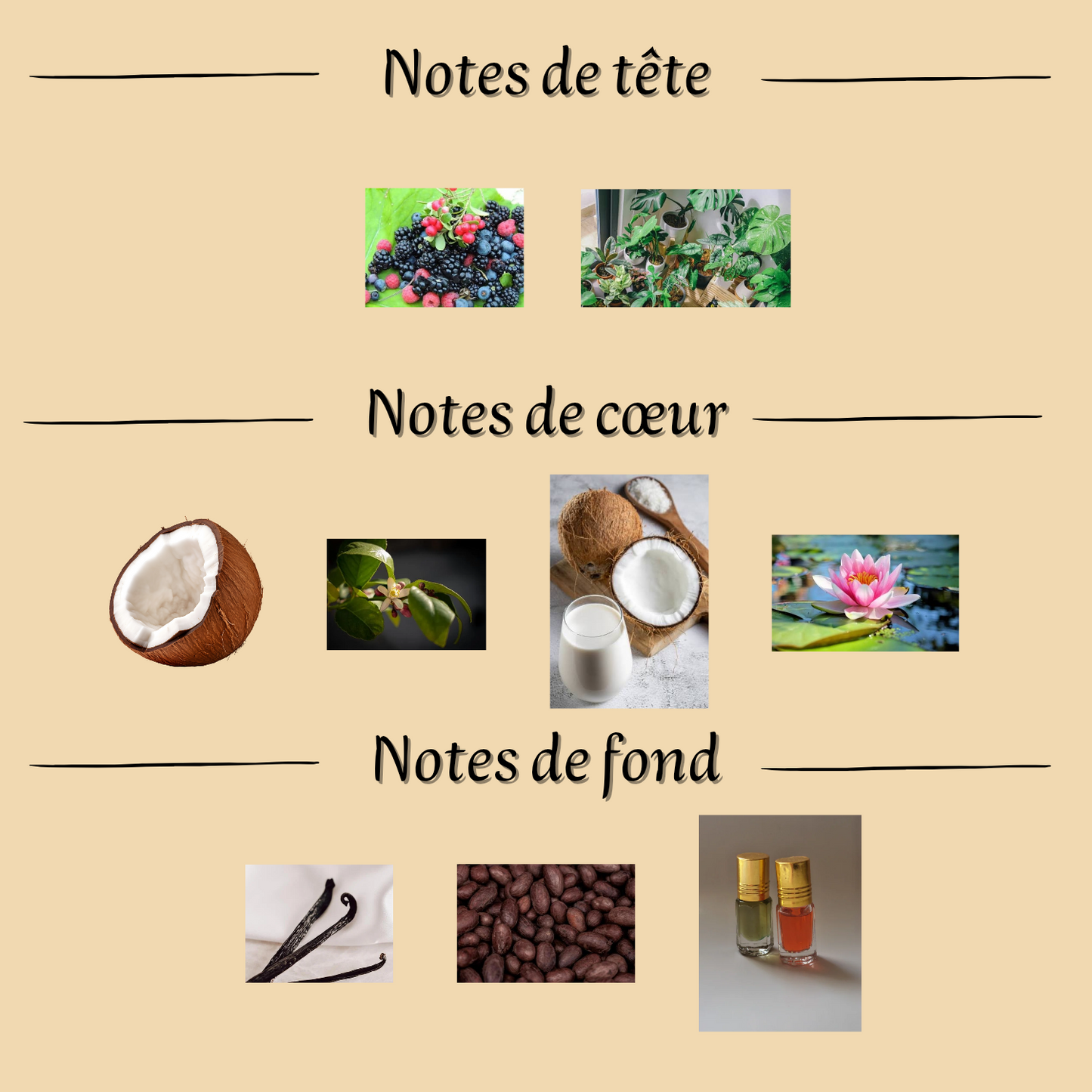 Island Bliss 100 ml - Eau de parfum - Femme