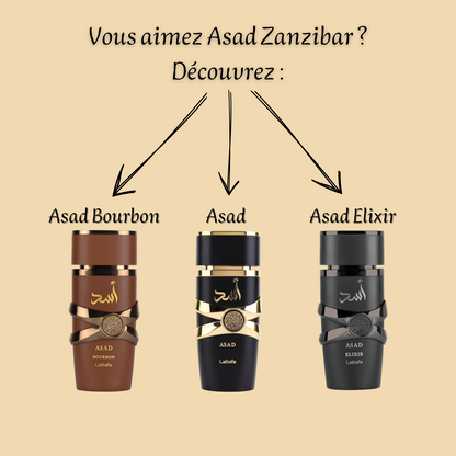 Asad Zanzibar 100 ml - Eau de parfum - Homme