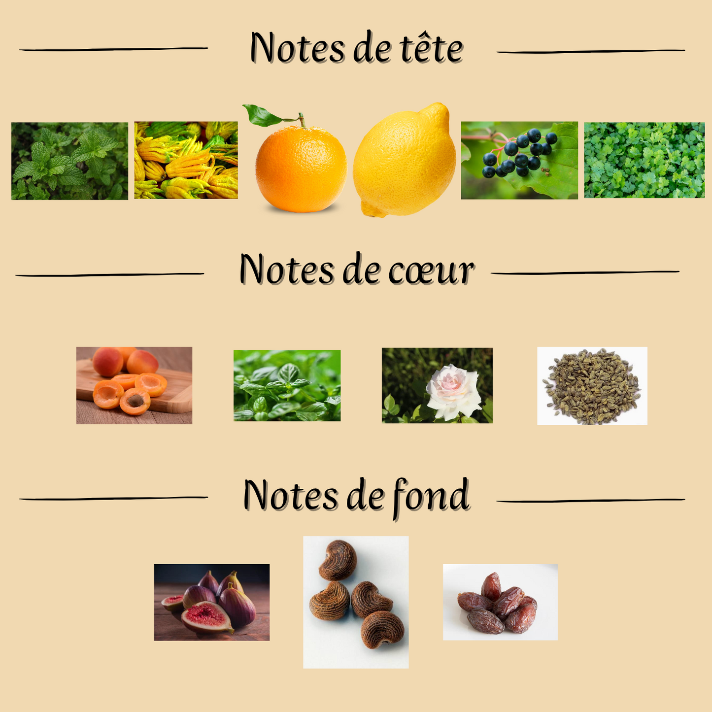 Jean Lowe Vibe 100 ml inspiré "Pacific Chill" - Eau de parfum - Mixte