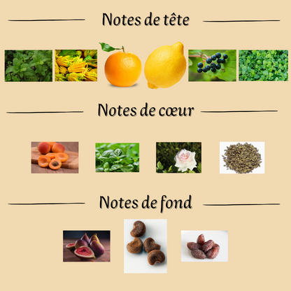 Jean Lowe Vibe 100 ml inspiré "Pacific Chill" - Eau de parfum - Mixte