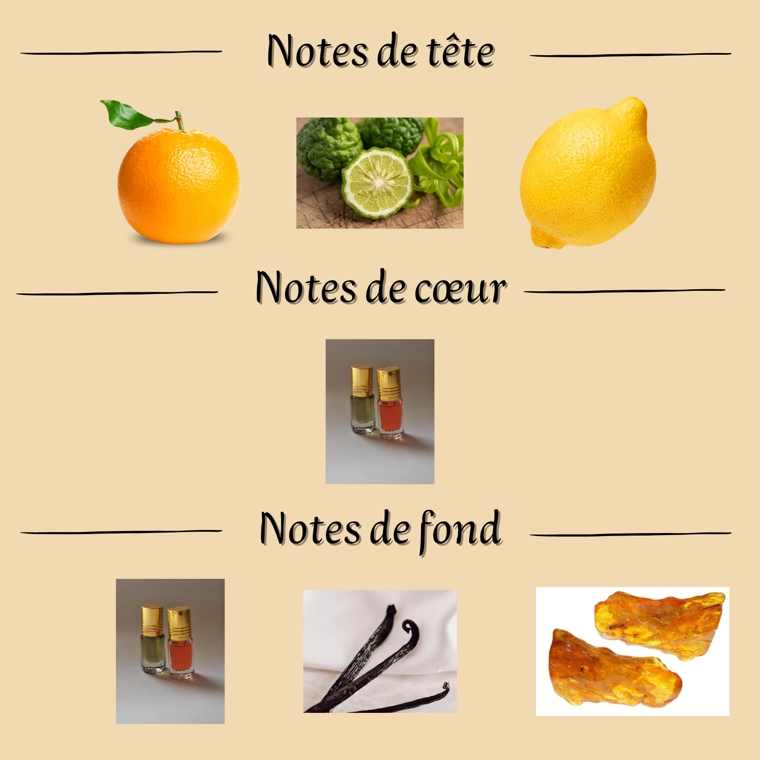 Esta Puro eau de parfum mixte 100ml inspiré Erba Pura — Senteur Nomade