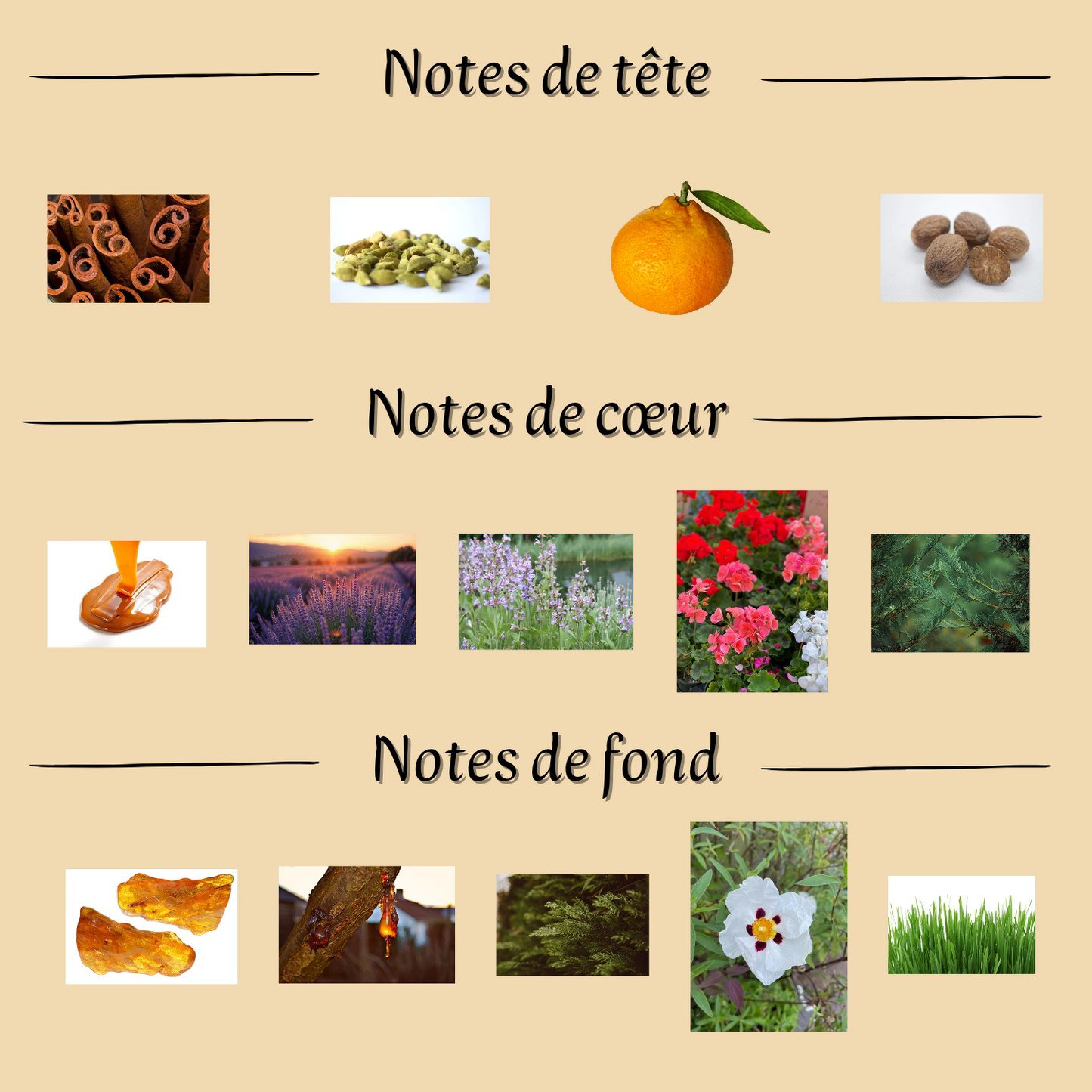 Qaed Al Fursan Untamed 90 ml - Eau de parfum - Mixte