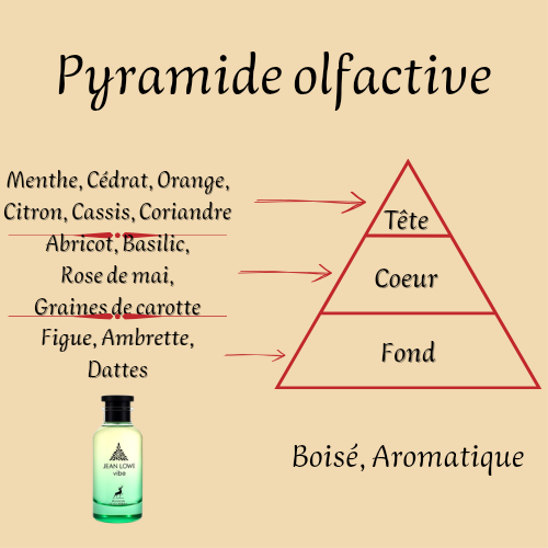 Jean Lowe Vibe 100 ml inspiré "Pacific Chill" - Eau de parfum - Mixte