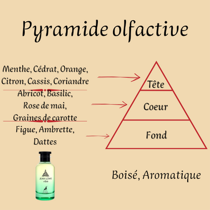 Jean Lowe Vibe 100 ml inspiré "Pacific Chill" - Eau de parfum - Mixte