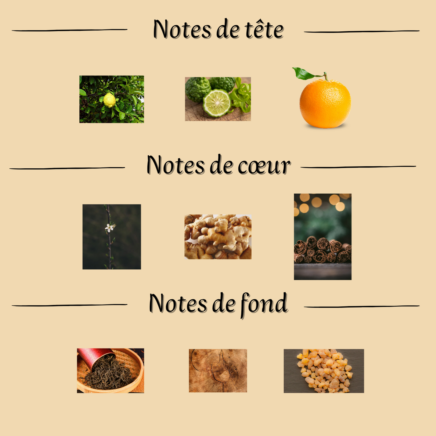 Parfum Homme "Imagique" 100 ml inspiré "Imagination"