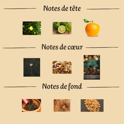 Parfum Homme "Imagique" 100 ml inspiré "Imagination"