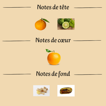 Jean Lowe Azure 100 ml inspiré "Afternoon Swim" - Eau de parfum - Mixte