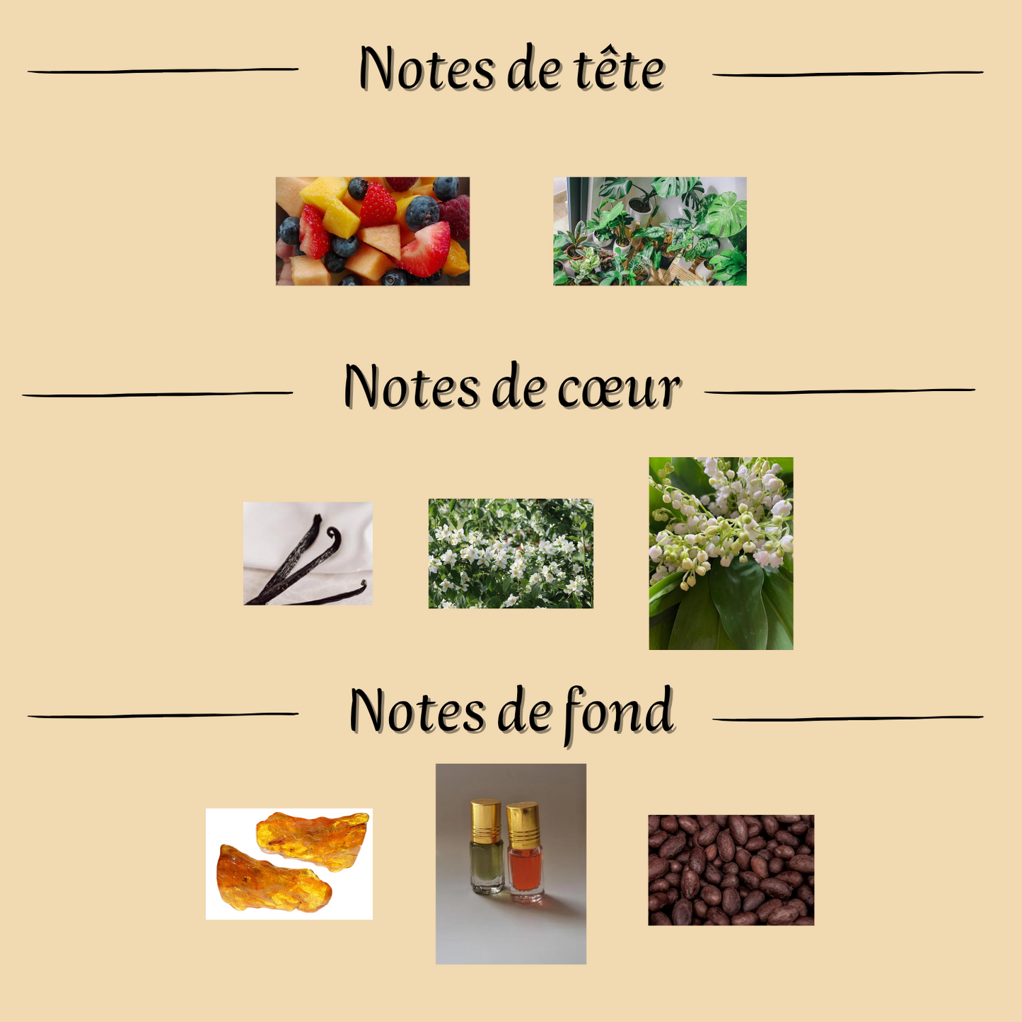 Tahara Vanille 12 ml - Musc Tahara - Femme