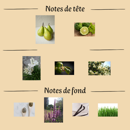 Women's Perfume "Intrude" 100 ml inspired by "The Forbidden"