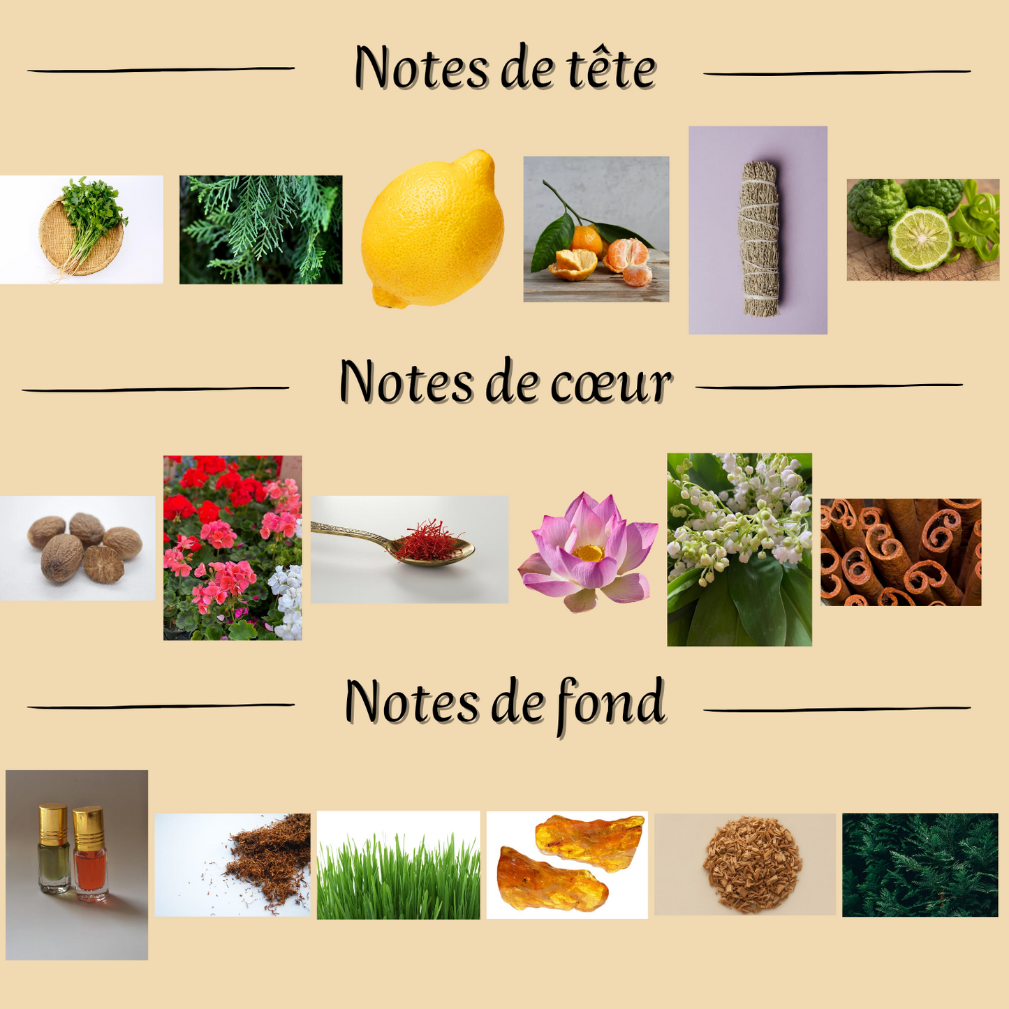 Bint Hooran 100 ml - Eau de parfum - Femme