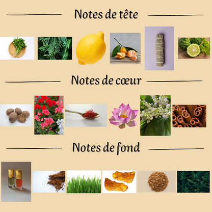 Bint Hooran 100 ml - Eau de parfum - Femme