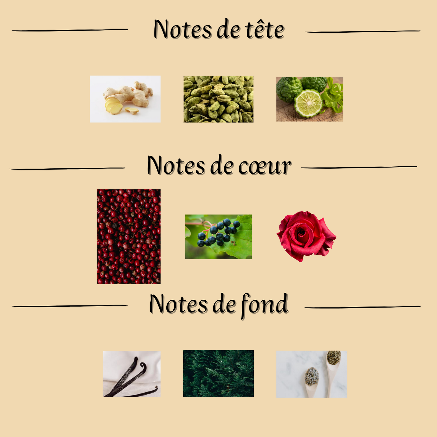 Spectre Ghost 80 ml inspiré "Ani Nishane" - Eau de parfum - Homme