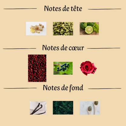 Spectre Ghost 80 ml inspiré "Ani Nishane" - Eau de parfum - Homme