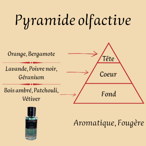 So Collection Privée L'original Paris 50 ml inspiré "Sauvage" - Eau de parfum - Homme