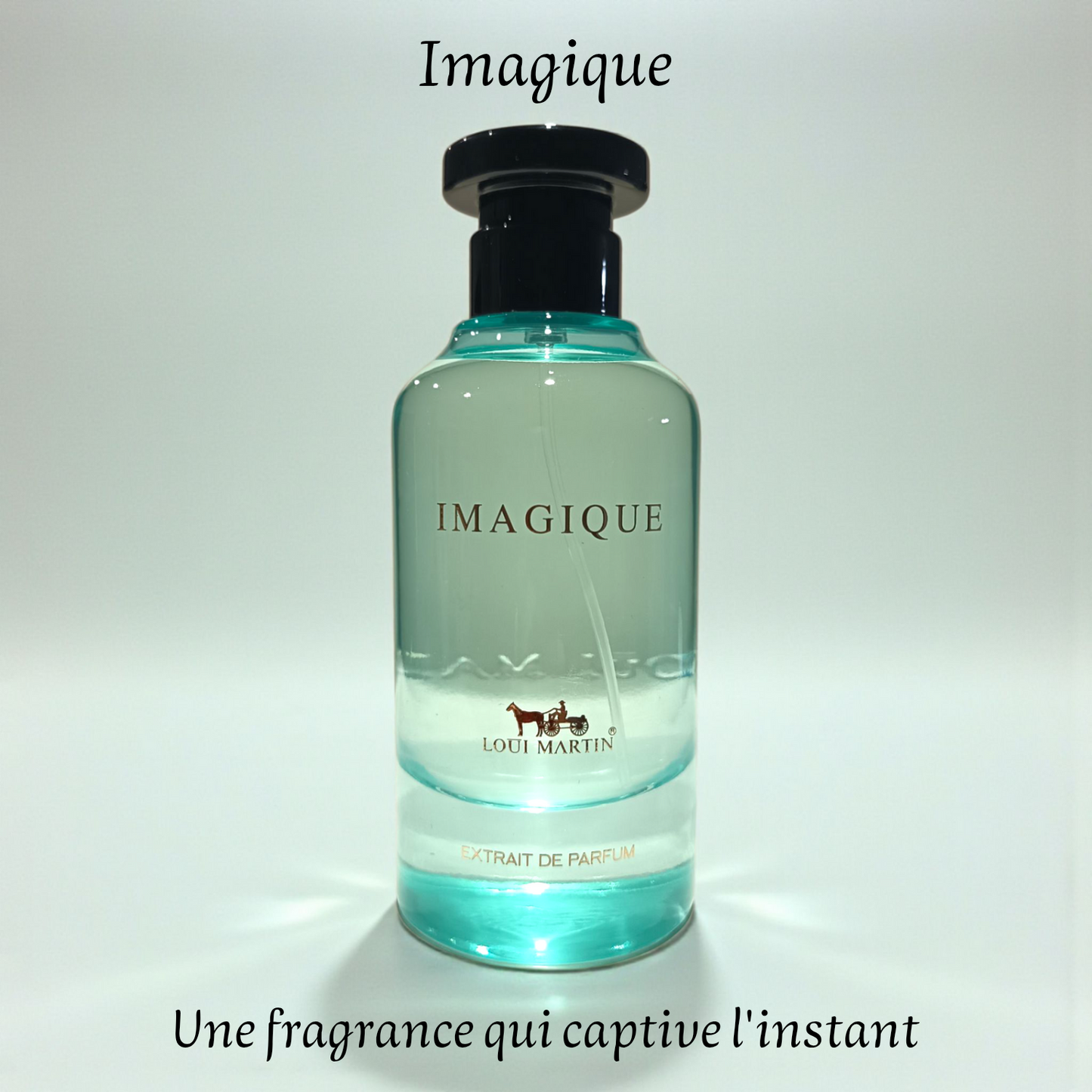 Parfum Homme "Imagique" 100 ml inspiré "Imagination"