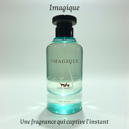 Parfum Homme "Imagique" 100 ml inspiré "Imagination"