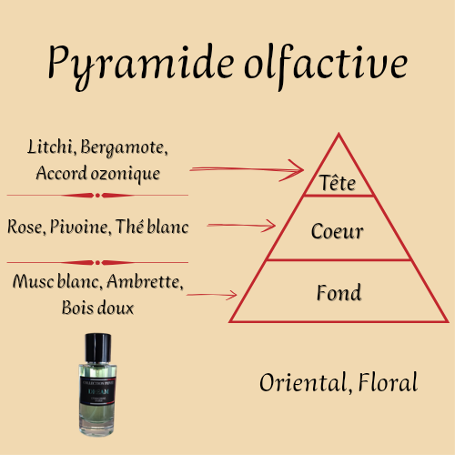 Dream Collection Privée L'Original Paris 50 ml inspiré "Attrape-Rêves" - Eau de parfum - Femme