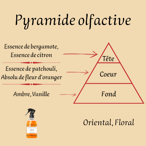 Spray d'intérieur Aïsha Collection Intense 250 ml inspiré "Magic" - Mixte