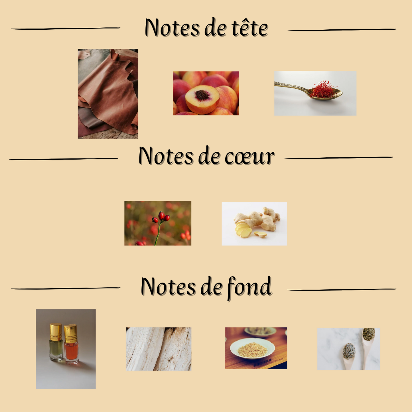 Parfum Mixte "Mula" Collection Intense 50 ml inspiré "Mula Mula"