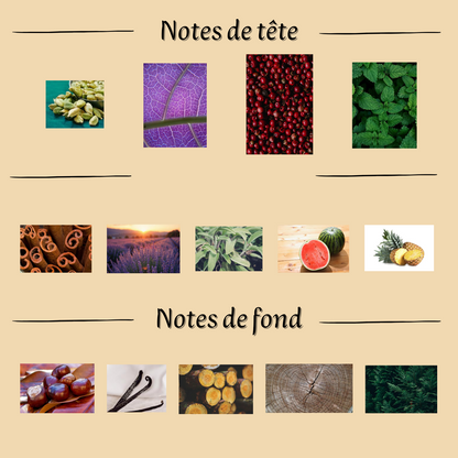 Your Touch 100 ml inspiré "Stronger With You" - Eau de parfum - Homme