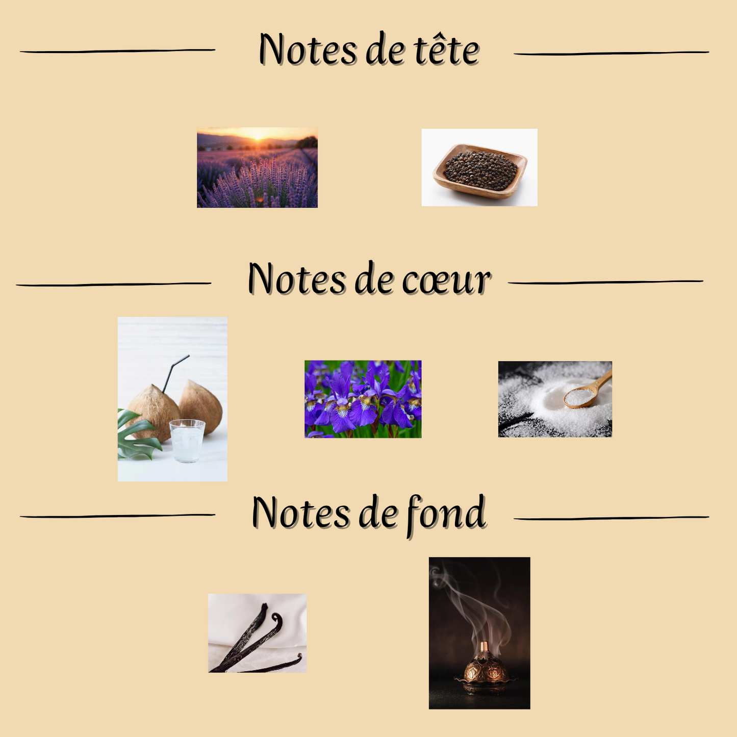 Asad Zanzibar 100 ml - Eau de parfum - Homme