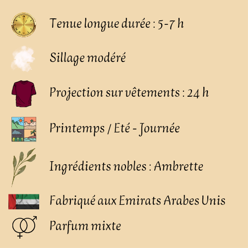 Jean Lowe Vibe 100 ml inspiré "Pacific Chill" - Eau de parfum - Mixte