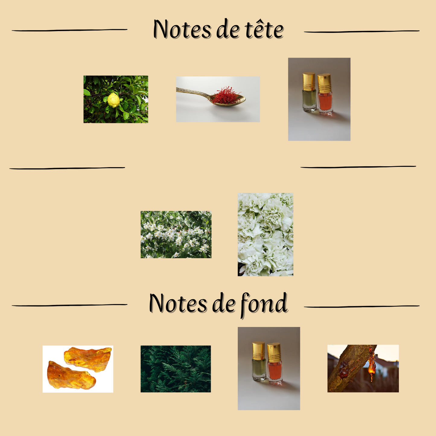 Women's Perfume "Opulent Musk" 100 ml