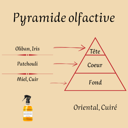 Bois Intense Collection Intense 250 ml inspiré "Bois d'Argent" - Spray d'intérieur - Mixte