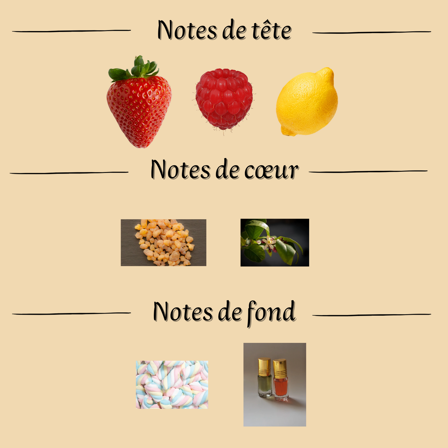 Marshmallow Crush 12 ml - Musc Tahara - Femme