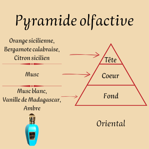 Esta Puro eau de parfum mixte 100ml inspiré Erba Pura — Senteur Nomade