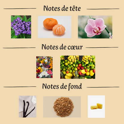 Spray d'ambiance Yara 300ml — Senteur Nomade
