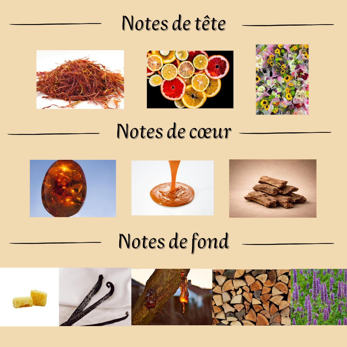 Opulent Oud 100 ml - Eau de parfum - Mixte