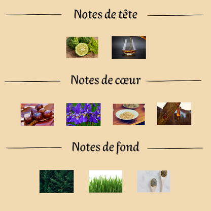 General Grandeur 100 ml inspiré "Gentleman" - Eau de parfum - Homme