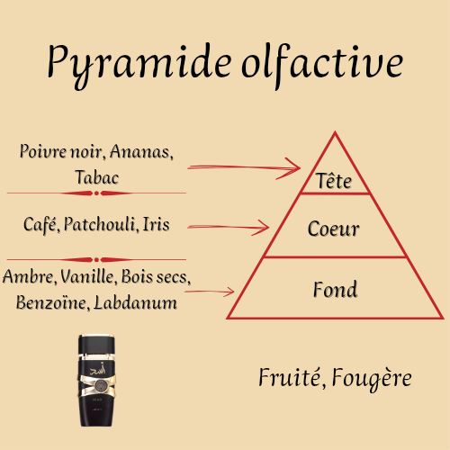 Coffret Asad Zanzibar + Asad inspiré "Sauvage Elixir" 100 ml - Eau de parfum - Homme