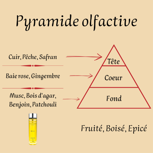 Gel douche Mula Collection Privée L'original 250 ml inspiré "Mula Mula" - Mixte