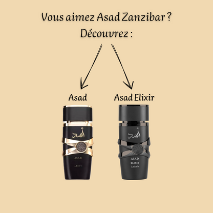 Asad Zanzibar 100 ml - Eau de parfum - Homme