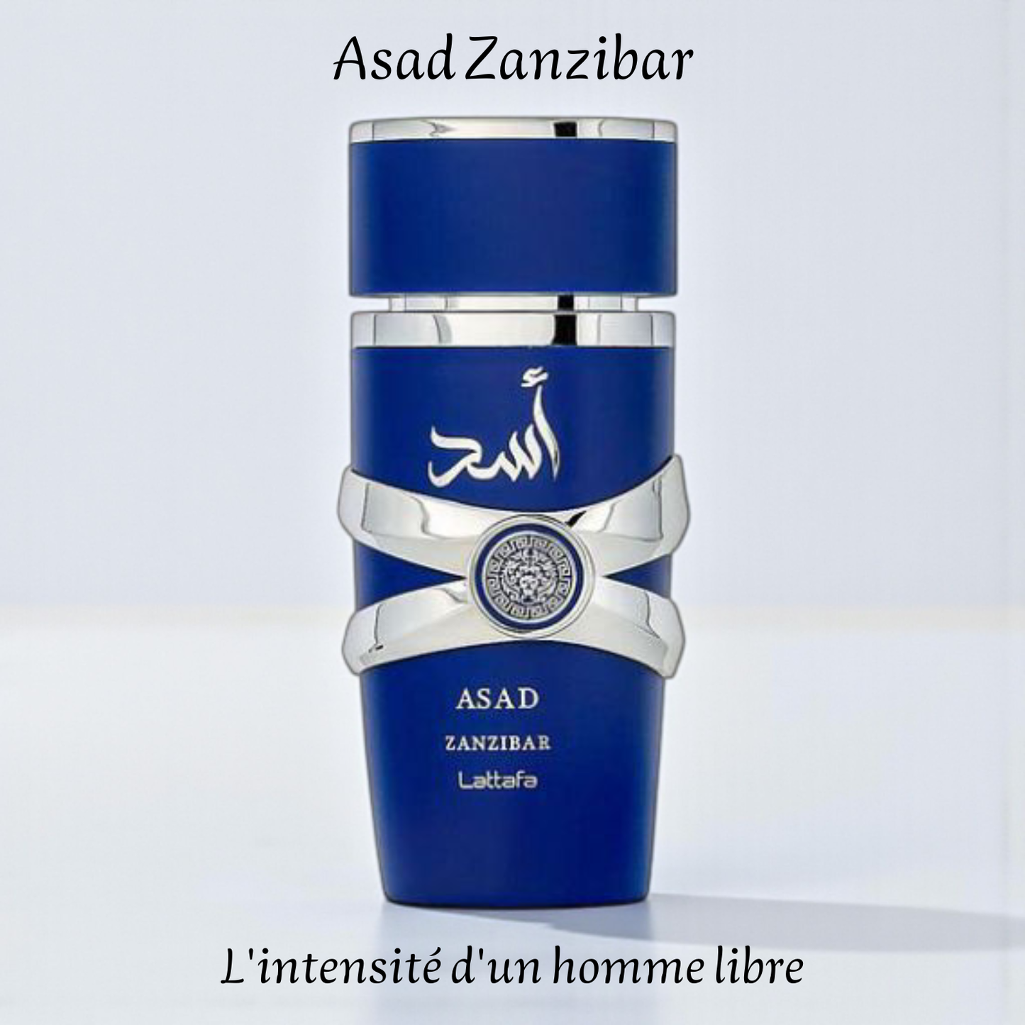 Asad Zanzibar 100 ml - Eau de parfum - Homme